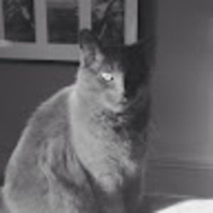 Meet your Posher, Dean